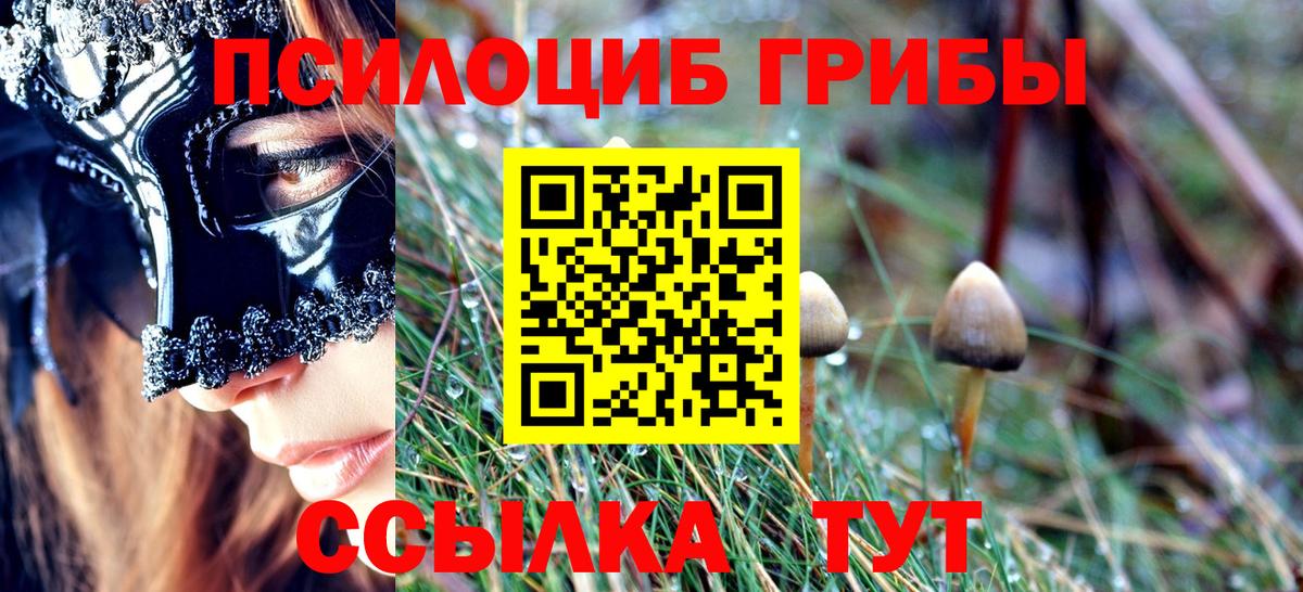Галлюциногенные грибы MAGIC MUSHROOMS  Вход с VPN  Мурино 